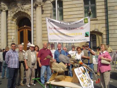 Foto des Albums: Demonstration gegen die Stallpflicht