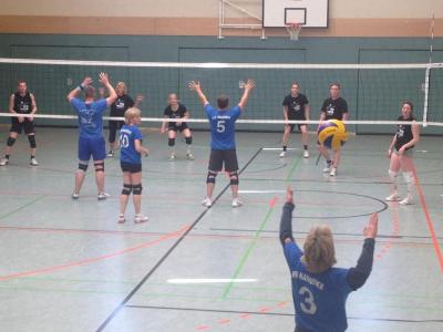 Foto des Albums: Volleyball Landesmeisterschaft 2015