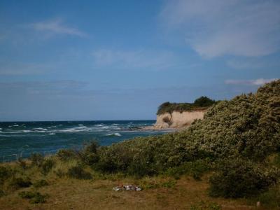 Foto des Albums: Klassenfahrt der 8b nach Lancken auf Rügen im Juli 2015 (18. 07. 2015)