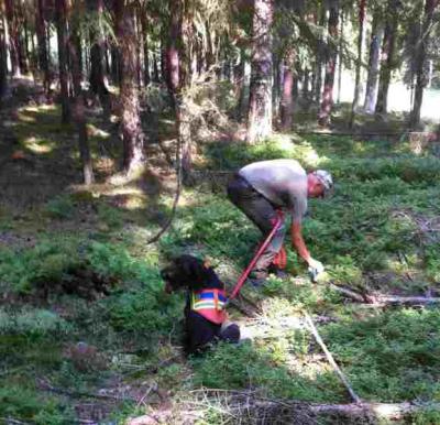 Foto des Albums: Brauchbarkeits-Kurs 2015