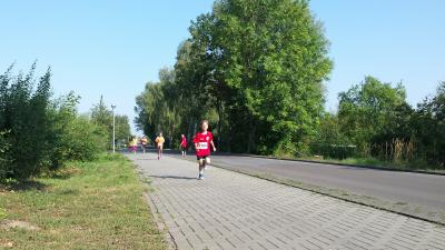Foto des Albums: Angermünder Sommerlauf, 29.08.2015 (03.​09.​2015)