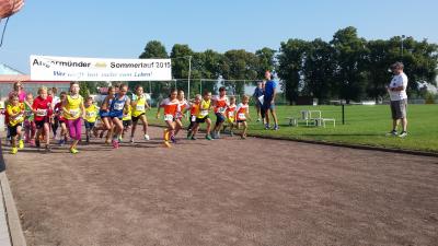 Foto des Albums: Angermünder Sommerlauf, 29.08.2015 (03.​09.​2015)