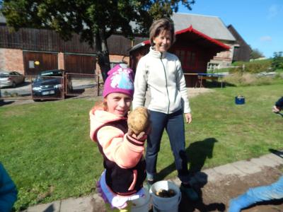 Foto des Albums: Kartoffelernte im Schulgarten