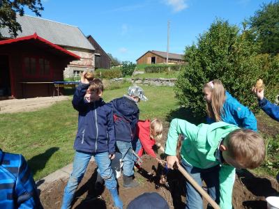 Foto des Albums: Kartoffelernte im Schulgarten