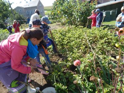 Foto des Albums: Kartoffelernte im Schulgarten