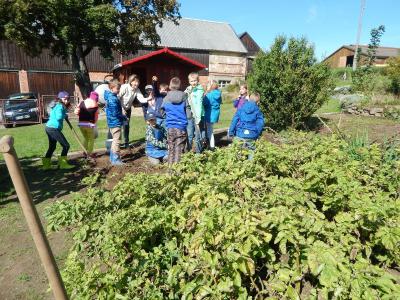 Foto des Albums: Kartoffelernte im Schulgarten