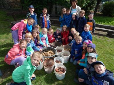 Foto des Albums: Kartoffelernte im Schulgarten