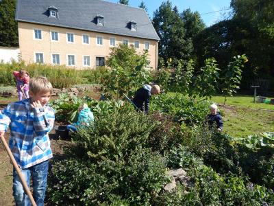 Foto des Albums: Kartoffelernte im Schulgarten