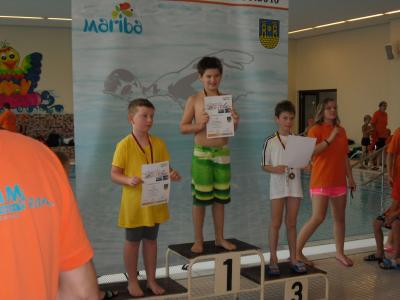 Foto des Albums: 22. Stadtmeisterschaft im Schwimmen