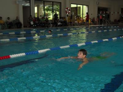 Foto des Albums: 22. Stadtmeisterschaft im Schwimmen