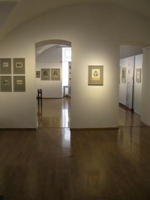 Foto des Albums: Ausstellung "Nassauer Köpfe"