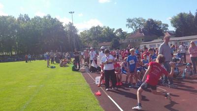 Foto des Albums: Landesmeisterschaften U12 / U 14 Königs Wusterhausen, 19.09.2015 (23.​09.​2015)