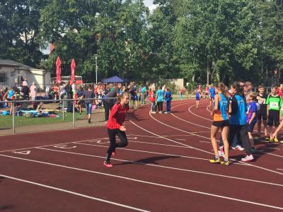 Foto des Albums: Landesmeisterschaften U12 / U 14 Königs Wusterhausen, 19.09.2015 (23.​09.​2015)