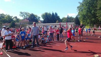 Foto des Albums: Landesmeisterschaften U12 / U 14 Königs Wusterhausen, 19.09.2015 (23.​09.​2015)