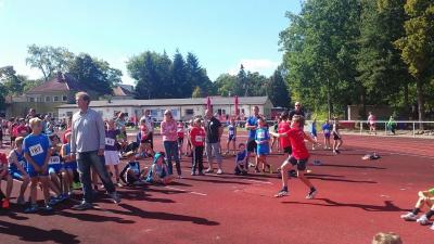 Foto des Albums: Landesmeisterschaften U12 / U 14 Königs Wusterhausen, 19.09.2015 (23.​09.​2015)