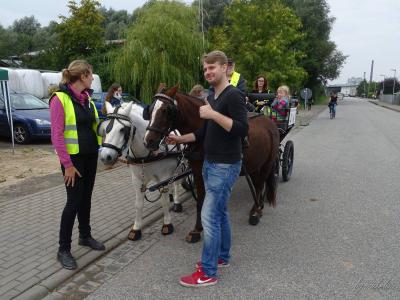 Foto des Albums: 3. Glückstädter Pferdefest für Jedermann