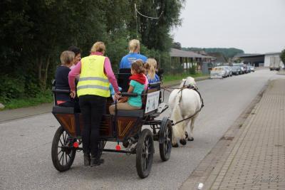 Foto des Albums: 3. Glückstädter Pferdefest für Jedermann