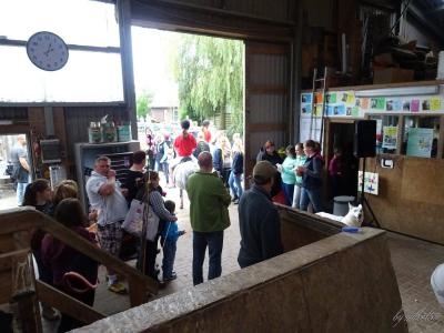 Foto des Albums: 3. Glückstädter Pferdefest für Jedermann