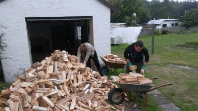 Foto des Albums: Hilfe beim Holz