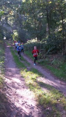 Foto des Albums: Ueckermünder Herbstcross