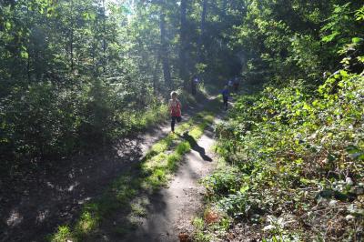Foto des Albums: Ueckermünder Herbstcross