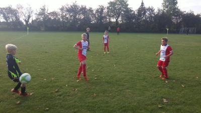 Foto des Albums: 10.10.2015 E-Jugend (23.​10.​2015)