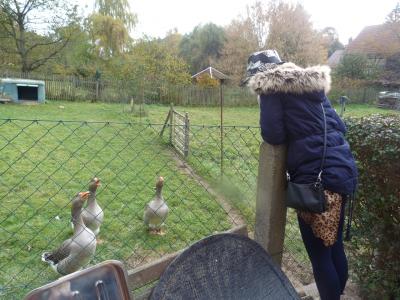 Foto des Albums: Kirmes in Teichel 24. - 25.10.2015