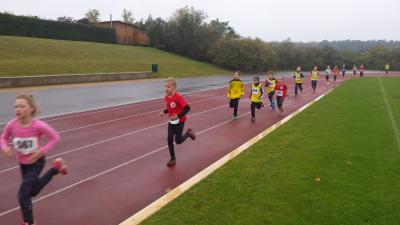 Foto des Albums: Schwedter Herbstlauf