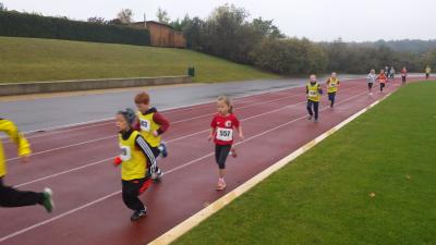 Foto des Albums: Schwedter Herbstlauf
