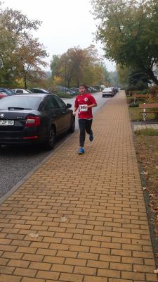 Foto des Albums: Schwedter Herbstlauf