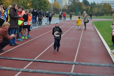 Foto des Albums: Schwedter Herbstlauf