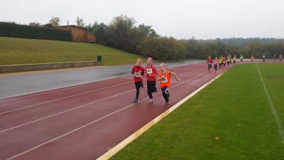 Foto des Albums: Schwedter Herbstlauf