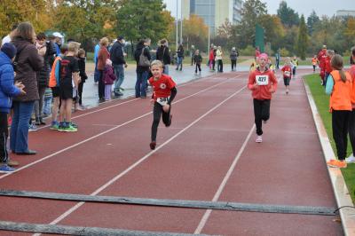 Foto des Albums: Schwedter Herbstlauf