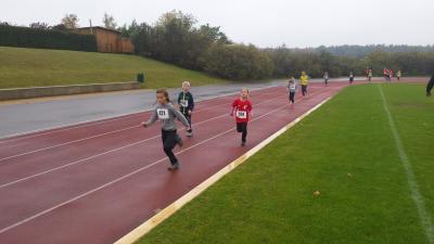 Foto des Albums: Schwedter Herbstlauf