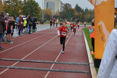 Foto des Albums: Schwedter Herbstlauf