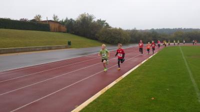 Foto des Albums: Schwedter Herbstlauf