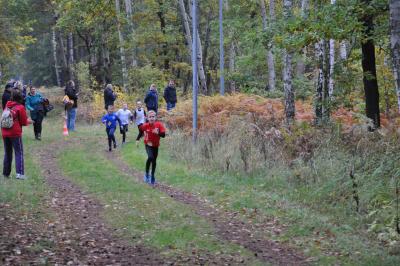 Foto des Albums: Karpiner Herbstcross