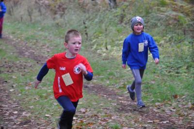 Foto des Albums: Karpiner Herbstcross