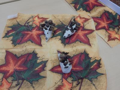 Foto des Albums: Igelprojekt Klasse 2