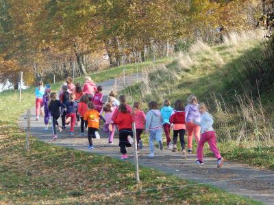 Foto des Albums: Herbstcross