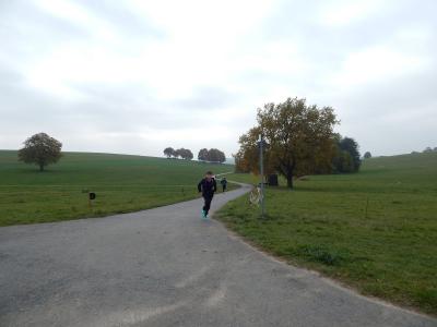 Foto des Albums: Herbstcross