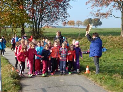 Foto des Albums: Herbstcross