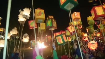 Foto des Albums: St. Martin Umzug 2015