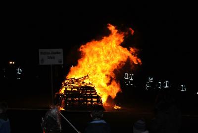 Foto des Albums: St. Martin Umzug 2015