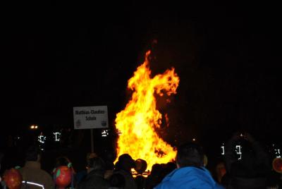 Foto des Albums: St. Martin Umzug 2015