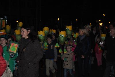 Foto des Albums: St. Martin Umzug 2015
