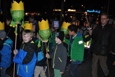 Foto des Albums: St. Martin Umzug 2015