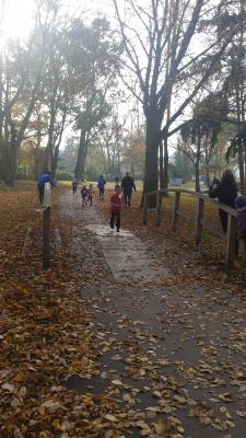 Foto des Albums: Anklamer Herbstcross