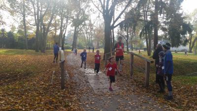 Foto des Albums: Anklamer Herbstcross