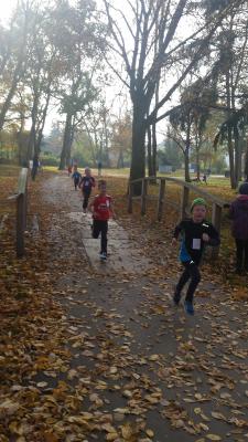 Foto des Albums: Anklamer Herbstcross